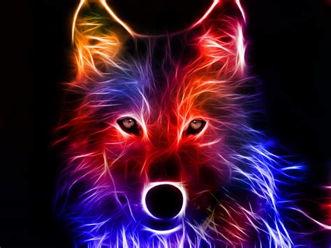 Colorful Fractal Wolf HD Wallpaper by Michael Butterworth