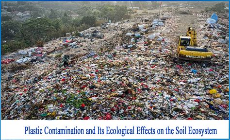 How do plastics affect the soil ecosystem - Netsol Water