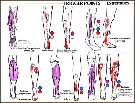 Knee Pain Causes You Should Know and Avoid - Your friendly fashion blog ...