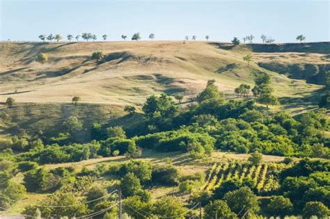 Summer landscape in the mountains and hills, Moldova — Stock Photo ...