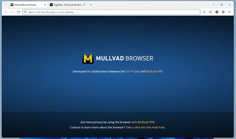 Mullvad lança o seu navegador privado em parceria com a Tor Project | TugaTech