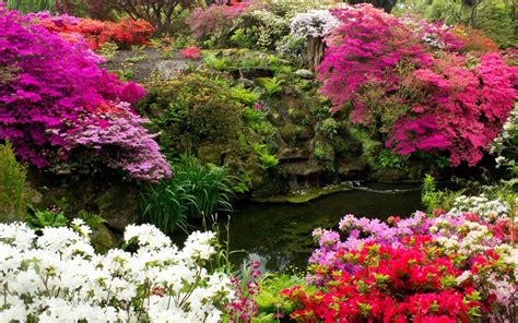 United Kingdom Gardens Pond Azalea Bodnant Gardens Wales Nature 413900 ...