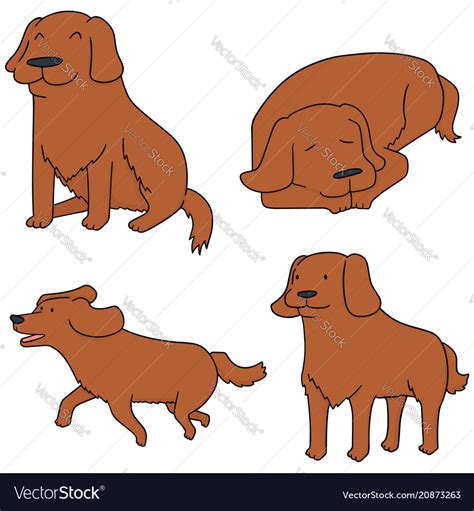 Set of dog golden retriever Royalty Free Vector Image