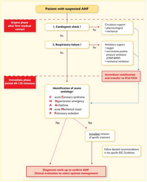 Tatalaksana Gagal Jantung atau Heart Failure (HF) – Kedokteran – Caiherang