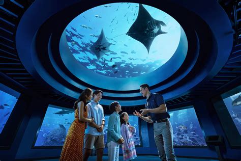 See The World Beneath The Waves At S.E.A. Aquarium - Secret Sydney