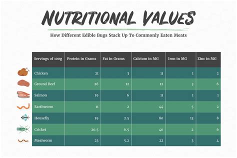 Cricket Nutrition Information & Facts | Insight Pest Solutions