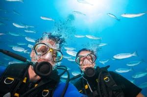 Experience An Unbelievable Andaman and Nicobar scuba diving – Scuba Diving in Andaman