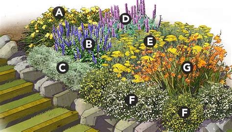 8 Pics Perennial Garden Designs For Zone 3 And Review - Alqu Blog