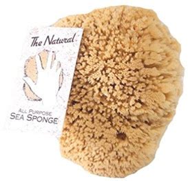 Natural Sea Sponges for Skin | Learn the Amazing Benefits