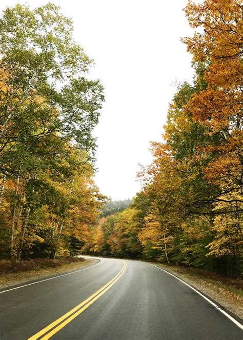 Take a Scenic Drive on the Kancamagus Highway | Life New England Style