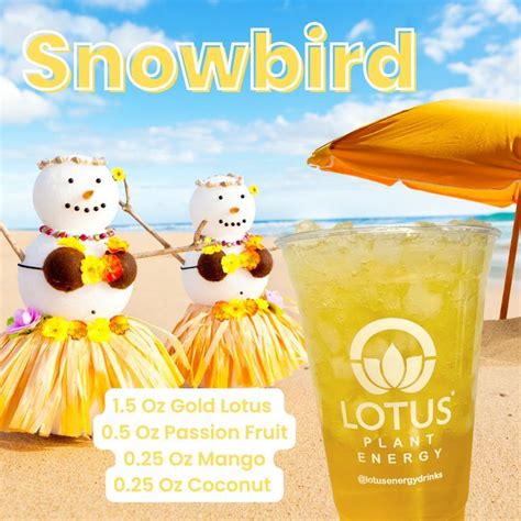 Snowbird Lotus | Lotus recipe, Energy drink recipe, Lotus tea