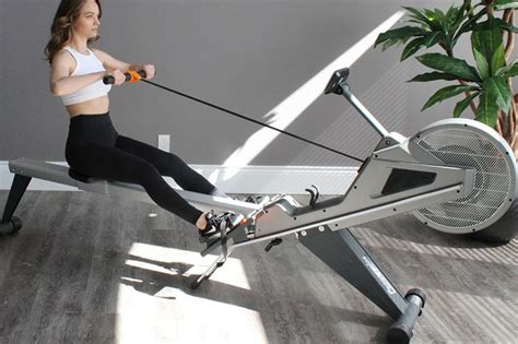 Essential Gym Equipment for Beginners | BFT Fitness