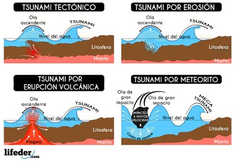 Tsunami: qué es, características, causas, consecuencias, ejemplos