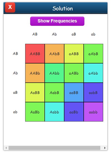 Punnett Square Calculator | Punnett Square Generator