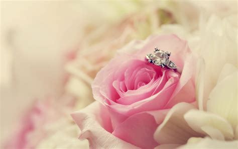 10+ Wedding HD Wallpapers and Backgrounds