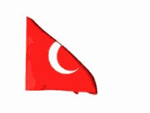 Turkey Flag Gif GIFs | Tenor