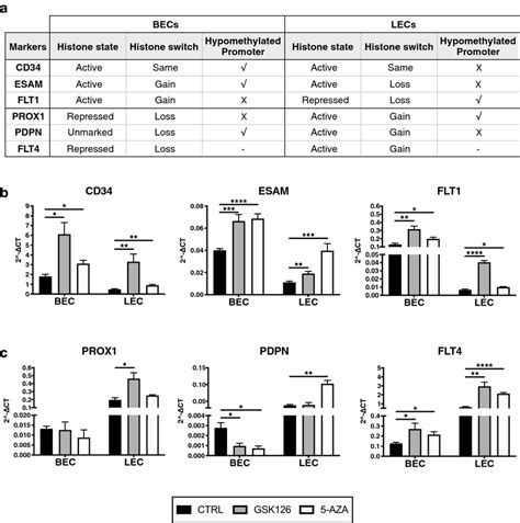 Induction of blood vascular endothelial cell markers by epigenetic... | Download Scientific Diagram