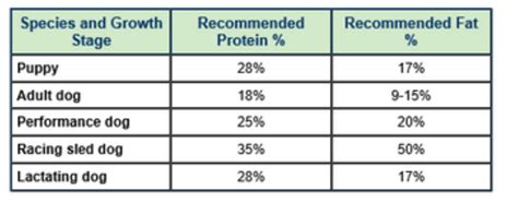 Requirements of protein in different animals - Nutrition For Animals