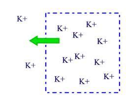 A Potassium Ion has a +1 charge. It would form an ionic bond because, it would donate one ...