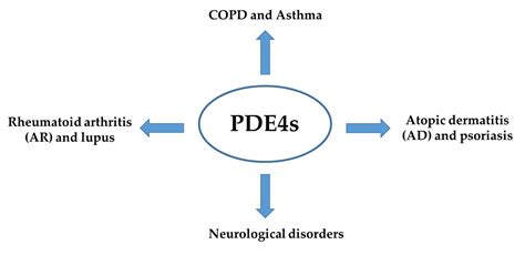 An Overview of PDE4 Inhibitors in Clinical Trials | Encyclopedia MDPI