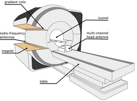 Magnetic Resonance Imaging (MRI) — Spring/Fall term 2022