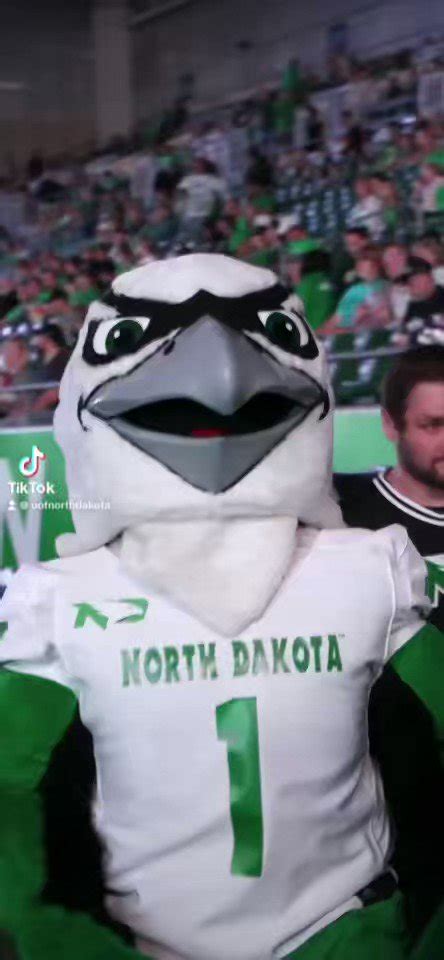 U of North Dakota on Twitter: "Show some love to the Hawk — it’s # ...