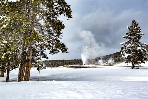 Ole Faithful Geyser in Yellowstone in Winter Stock Image - Image of ...