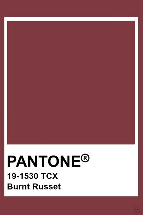 Pantone Burnt Russet | Pantone color, Pantone swatches, Pantone colour ...