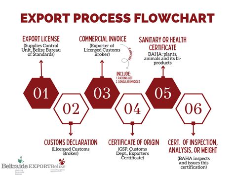 Export Process_new