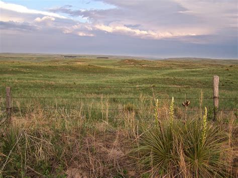 A Beautiful Sandhills Morning