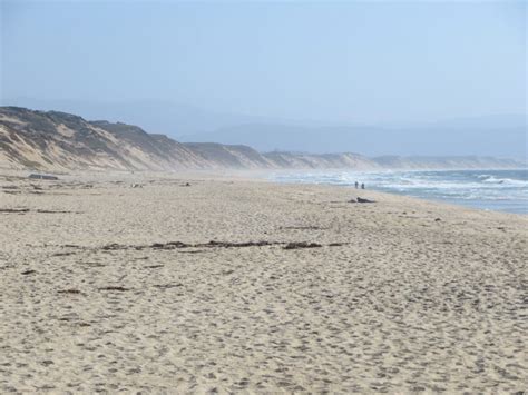 Marina State Beach in Marina, CA - California Beaches