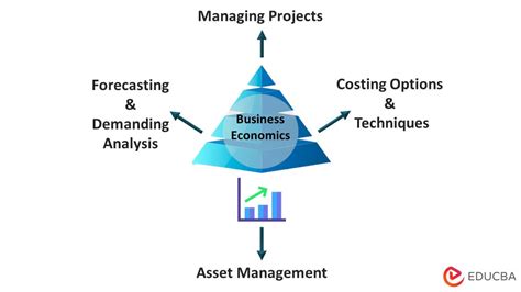 Business Economics: Definition, Objective, Examples, Scope