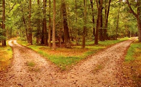 Fork in the road (metaphor) - Alchetron, the free social encyclopedia