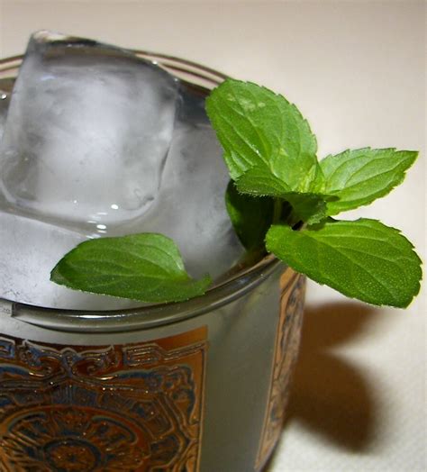 Mint Lemonade Recipe - Food.com