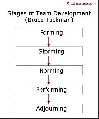 Tuckman Stages of Team Development Summary and Forum - 12manage