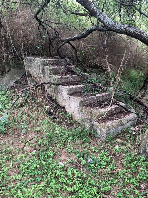 10+ Mysterious Random Staircases in the Woods From Reddit