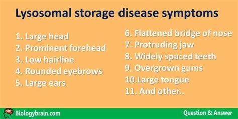 Lysosomal storage disease symptoms - Biology Brain