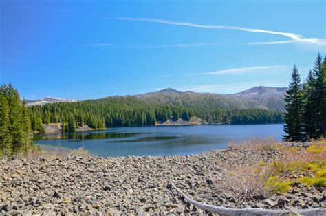 Marion Lake to Marion Mountain - Hike Oregon