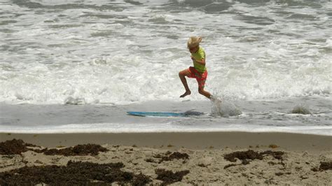 Cocoa Beach, Melbourne weather, seaweed conditions via radar, webcams