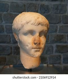 206 Caligula Statue Royalty-Free Photos and Stock Images | Shutterstock