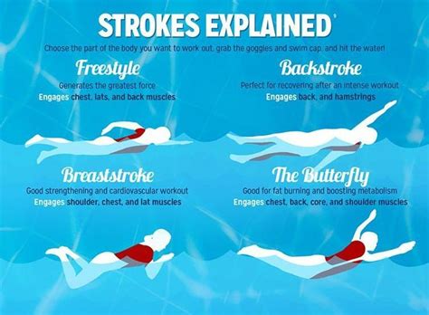 strokes explained | Swimming strokes, Swimming workout, Competitive swimming