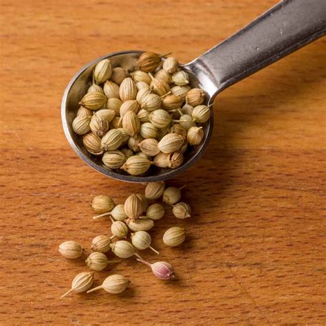 Coriander Seed, Whole - The Reluctant Trading Experiment