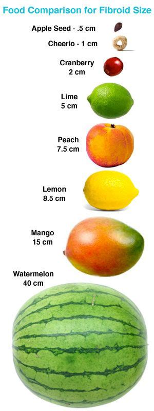 Comparing Fibroids with Fruits | Uterine Fibroids Article | HysterSisters | Fibroids, Uterine ...