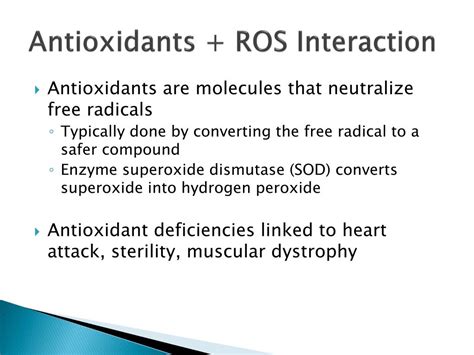 PPT - Call Me Radical: Going Anti-Antioxidants ? PowerPoint Presentation - ID:6535325