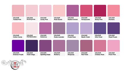 Why is it Important to Understand Color Psychology? : The Color Purple