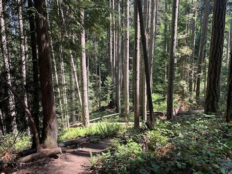 Wolf Trail Multi Trail - Cobble Hill, British Columbia