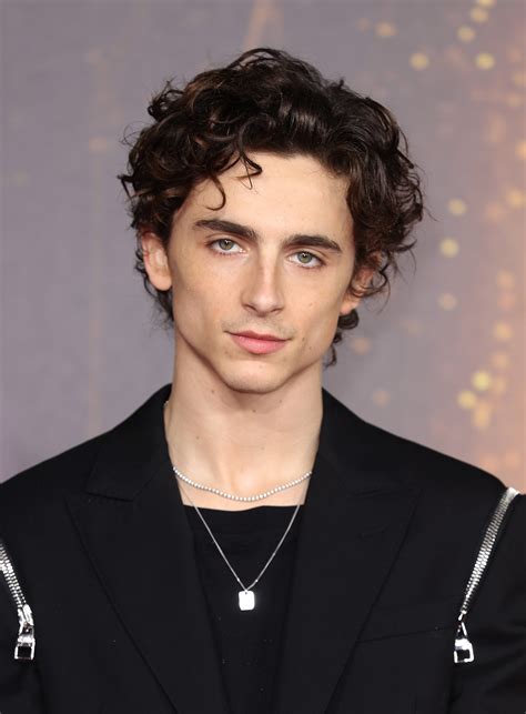 Meet the Stylist Behind Timothée Chalamet and Austin Butler’s ...