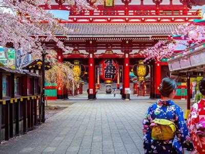 Highlights of Japan Tour | Exodus Travels