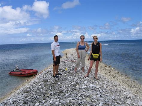 Kingman Reef October 2003 | Johnston atoll, Midway atoll, Jarvis island