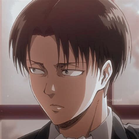 levi ackerman icon in 2021 | Levi ackerman, Aot anime, Aesthetic anime